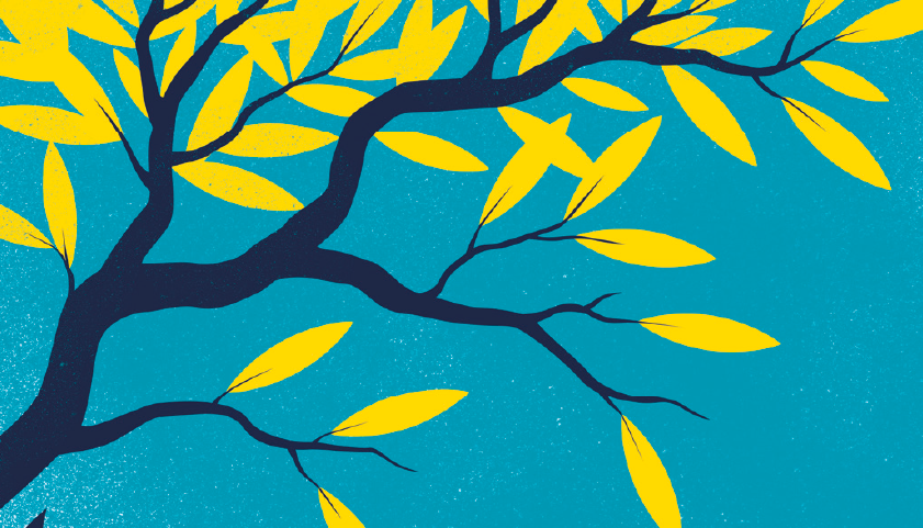 Cada produto (reaproveitado)  tem uma história