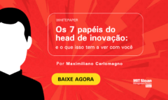 Os 7 papéis do head de inovação